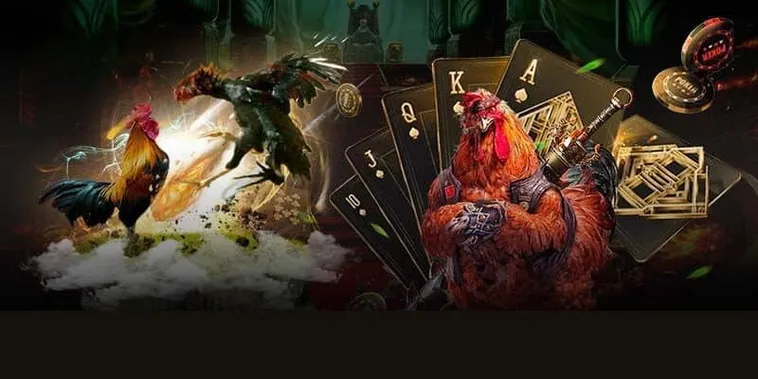 Chinh Phục Sảnh Đá Gà GA28 Tại Hi88 Với Chiến Thuật Đỉnh Cao 1 Chinh Phục Sảnh Đá Gà GA28 Tại Hi88 Với Chiến Thuật Đỉnh Cao