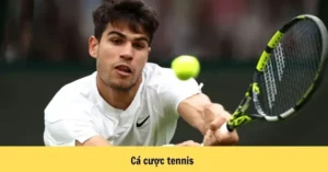 Cá Cược Quần Vợt Hi88 Thống Lĩnh Sân Đấu Grand Slam